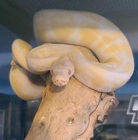 Erica Young's profile image
