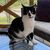 Janet Beggs's profile image