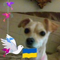 Sabrina Guerrero's profile image