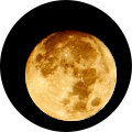 Maria C. Soler's Profile Image