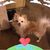 Lisa West's profile image