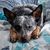 Christine Schmid's profile image