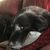 Tammy Hicks's profile image