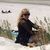 Sue Medgyes's profile image