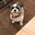 Bob Yager's profile image