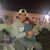 Patrick Esparza's profile image