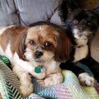 Lori Biagioni's profile image