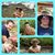 Missy Youngblood's profile image