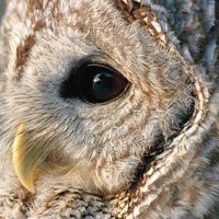 Linda Lee Kumar Stump's profile image