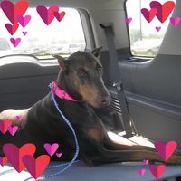 Howard Marshall's profile image