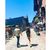 Lindsay Libby's profile image