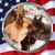 Tom Turrill's profile image