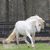 Debra Cooper-Phelon's profile image