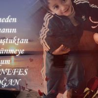 Selma Özcan's profile image