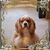 Lou Ann Ahrens's profile image