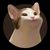 Britt Harris's profile image