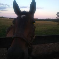 Tasha Heath's profile image
