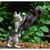 Sue Merz-Mullen's profile image