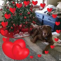 Deb Wagner's profile image