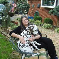 Ann Smith's profile image
