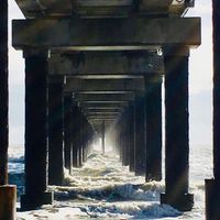 Heather D. Morris's profile image