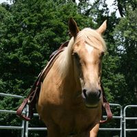Linda Eminizer's profile image