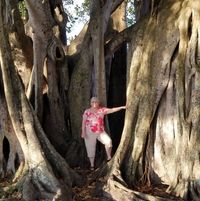 April Shields's Profile Image