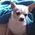 Cindy Lopardo's profile image
