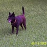 Katie C.'s profile image
