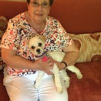 Joanne Henehan's profile image