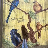 Mary Kay Vervaet's profile image