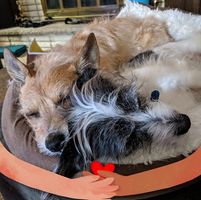 Christine Murphy's profile image