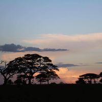 Lorry Lovato Baumann's profile image