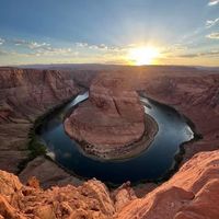 Susan Beal's profile image