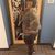 Kimberly Holbrook's profile image