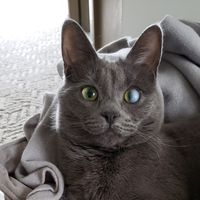 Profile Photo of Monica Menendez Vitti Duckwitz