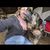 Lindsey Lee's profile image