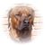 Iris J Diaz Giuliani's profile image