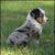 Jennifer Busch's profile image