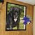 Carol Farris-Daugherty's profile image