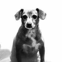 Janelle Mullen's profile image