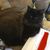 Heather Poindexter's profile image