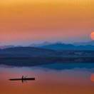 Jinyan's profile image