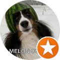 Christine P's Profile Image