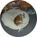 Judith Stege's Profile Image