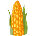 Katie Harris's Profile Image