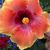 Karen Eisenhardt's profile image