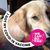 Debbie Shields Morano's profile image