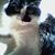 Carrie Boudle Ryan's profile image