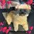 Virginia Goodale's profile image